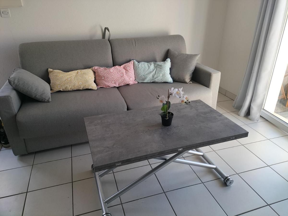 דירות Pierrefiche  T2 Avec Piscine-Le Family 67 מראה חיצוני תמונה